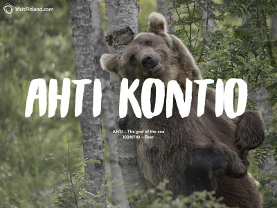 ahti-kontio-2en.jpg