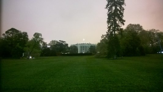 WP_20140426_001.jpg