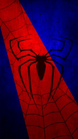 Spider-man 1.jpg