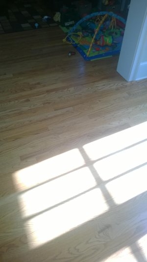 WP_20140417_008.jpg WP_20140417_008.jpg