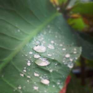 InstagramCapture_01df06ed-1cbc-466b-af0b-06b69a39d4a3[1].jpg
