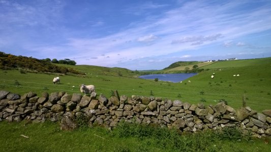 WP_20140531_018.jpg