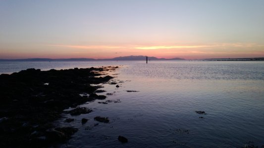 WP_20130403_001.jpg