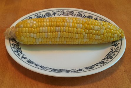 corn.jpg