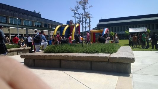 WP_20140507_004[1].jpg