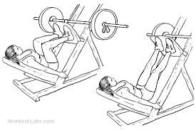 legpress.jpg