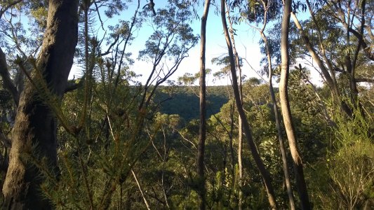 WP_20140607_009.jpg