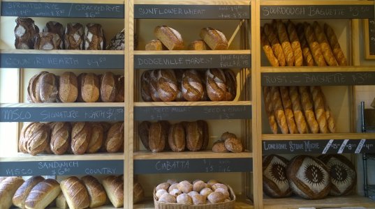 Microsoft Camera Bread Display.jpg