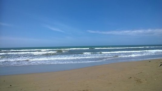 WP_20140501_020.jpg
