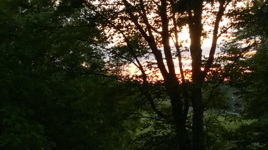 sunset.jpg sunset.jpg