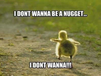 chicken-nugget.jpg