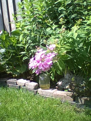 WP_20140711_002.jpg