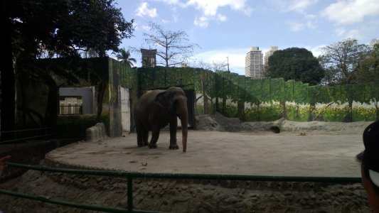 WP_20130217_107.jpg