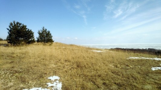 WP_20130312_061.jpg