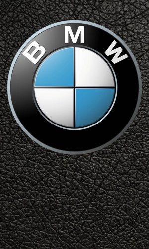 bmwleather.jpg