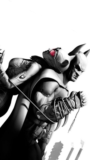 BatCat.jpg