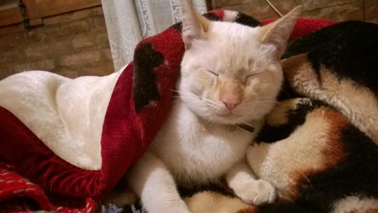 CreativeCamera_21_05_2014 06_30_13 p_m__jpg.jpg