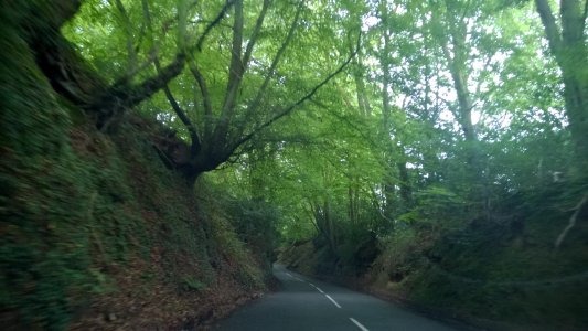 Road 2.jpg Road 2.jpg