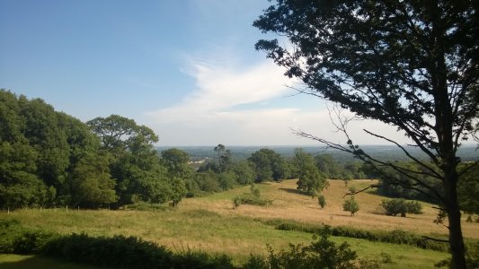 Surrey Hills1.jpg Surrey Hills1.jpg