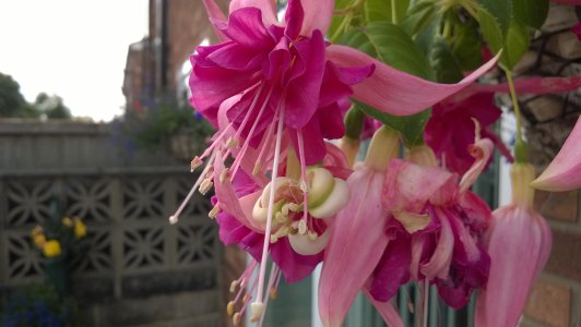 WP_20140731_014.jpg WP_20140731_014.jpg