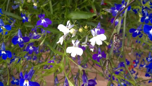 WP_20140731_015.jpg WP_20140731_015.jpg