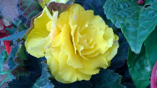 WP_20140731_016.jpg WP_20140731_016.jpg