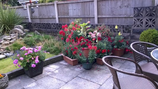 WP_20140731_017.jpg WP_20140731_017.jpg