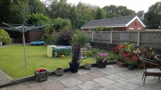 WP_20140731_019.jpg WP_20140731_019.jpg