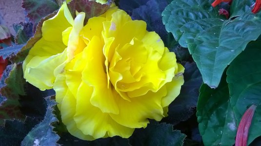 WP_20140731_010.jpg WP_20140731_010.jpg