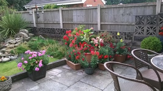 WP_20140731_011.jpg WP_20140731_011.jpg