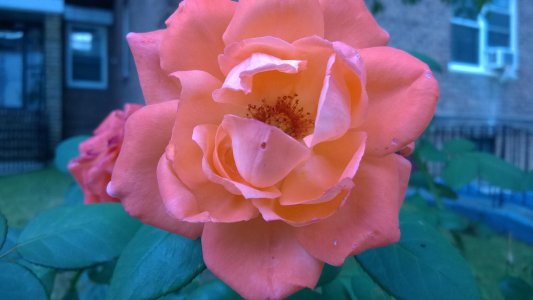 WP_20140717_007.jpg