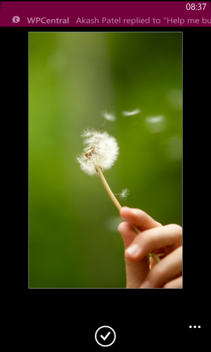 wp_ss_20140721_0003.png
