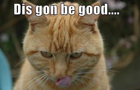 dis gon be good.jpg dis gon be good.jpg