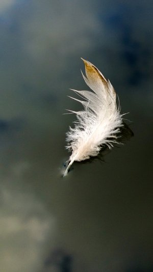 15_854x480_JonnePaulaSippola.jpg