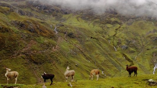 WP_20121229_007 - Peru.jpg