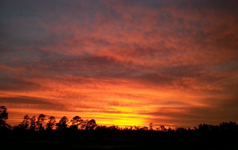 Central Florida Sunset.jpg
