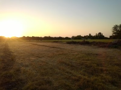 WP_20130913_19_01_55_Pro.jpg