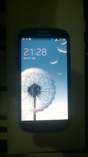 WP_20140727_003.jpg