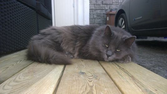 lumia1020-pusur2.jpg