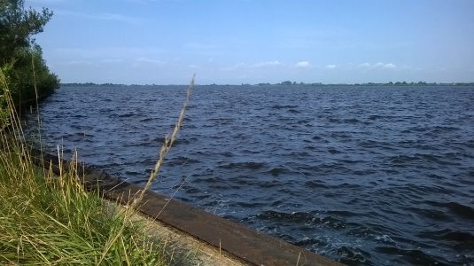 WP_20140803_09_40_39_Pro.jpg