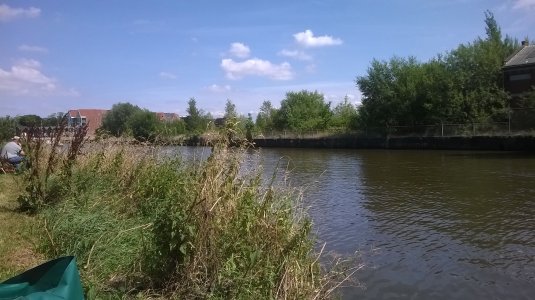 WP_20140803_13_06_58_Pro.jpg