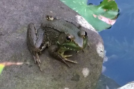 WP_20140820_10_41_05_Pro (2).jpg