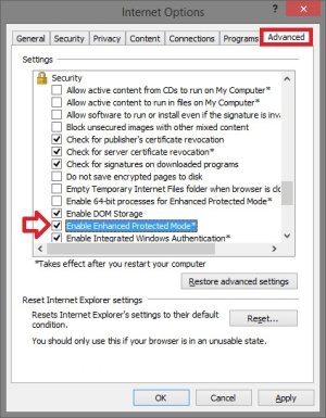 IE11_EPM.jpg
