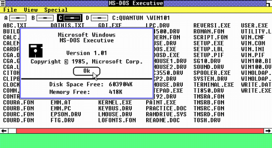 windows1.01b.gif