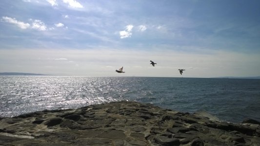 WP_20140827_14_12_05_Pro.jpg