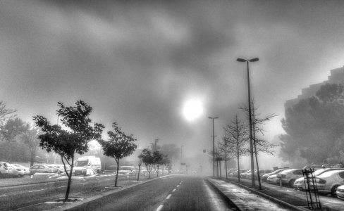 fog bw crop.jpg