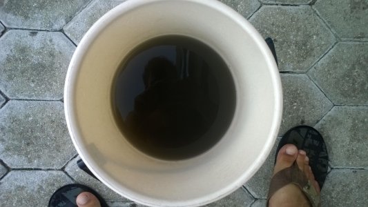 WP_20140828_007.jpg