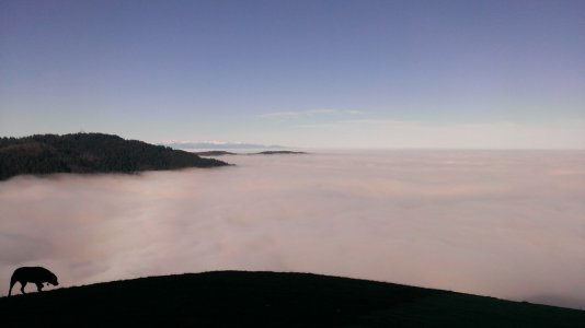 Poo Poo Point - 2013-02-02.jpg