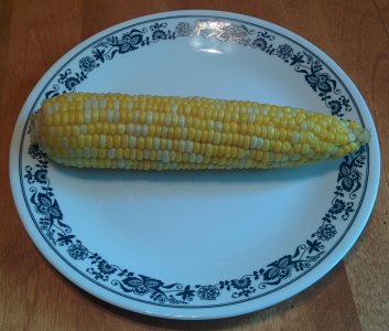 cornonthecob.jpg