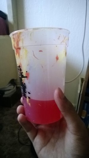 WP_20140818_001.jpg